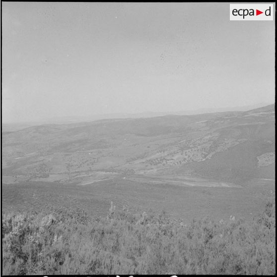 Le 1er REP en opération. [Description en cours]