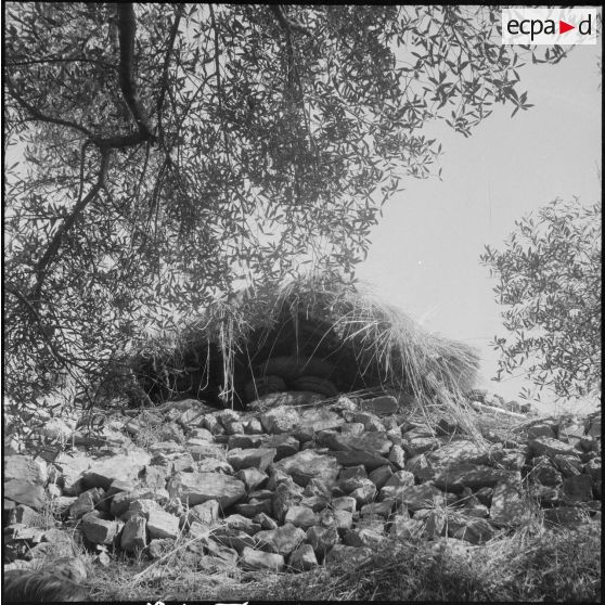 Vie quotidienne de la harka 303. [Description en cours]