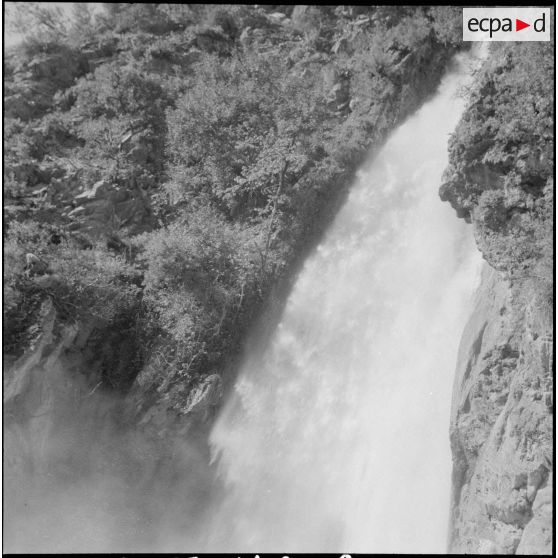 Vie quotidienne de la harka 303. [Description en cours]