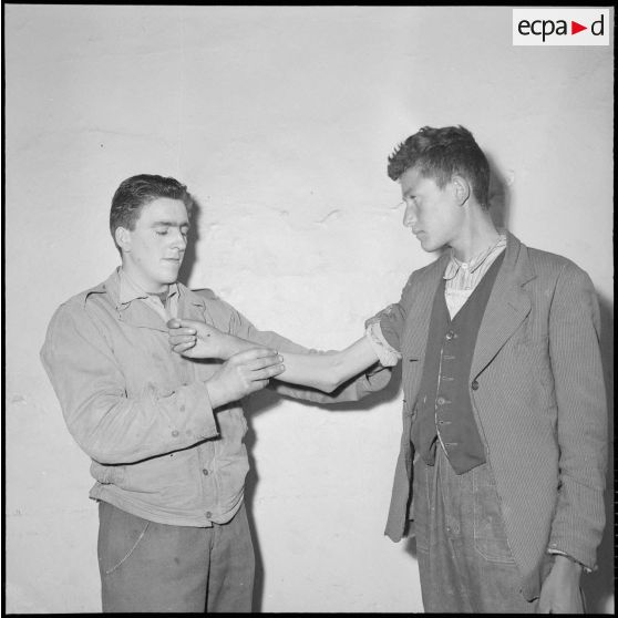 Des prisonniers du FLN. [Description en cours]