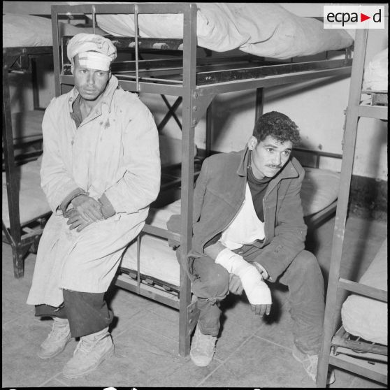 Des prisonniers du FLN. [Description en cours]