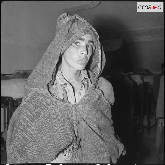 Des prisonniers du FLN. [Description en cours]