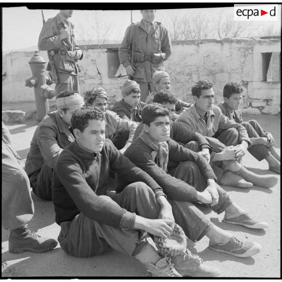 Des prisonniers du FLN. [Description en cours]