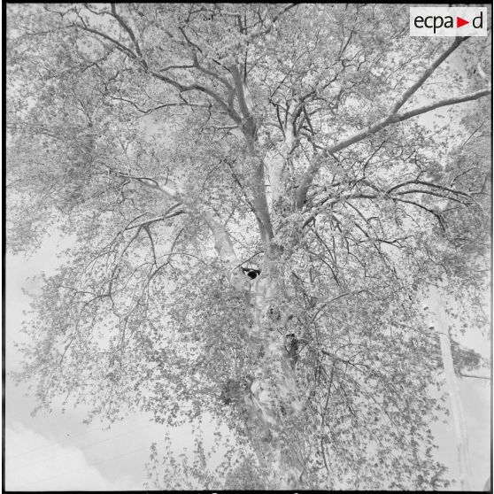 Alentours du camp d’Erlon. [Description en cours]