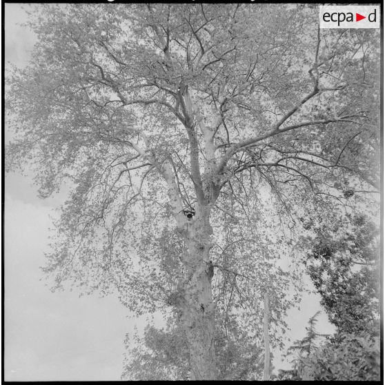 Alentours du camp d’Erlon. [Description en cours]