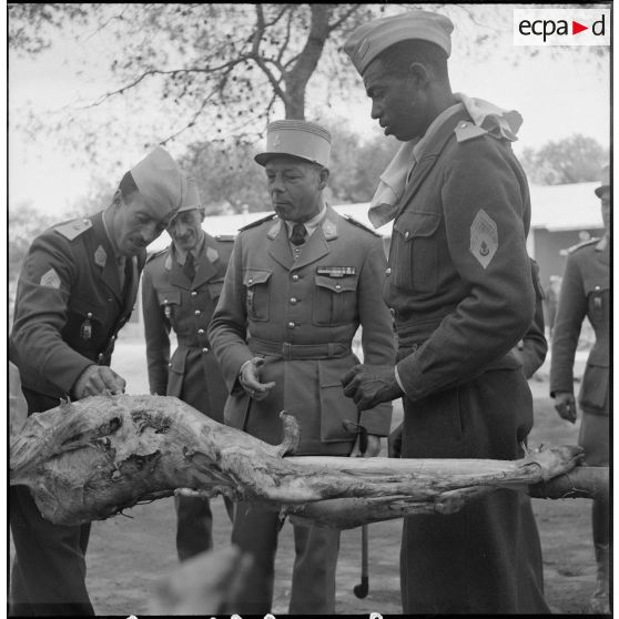 Fêtes de l'Aïd El-Seghir au CIABC (Centre d'instruction de l'arme blindée-cavalerie). [Description en cours]