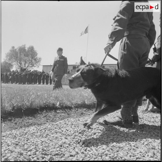 Visite du colonel Giraud au 4e RH (4e régiment de hussards. [Description en cours]