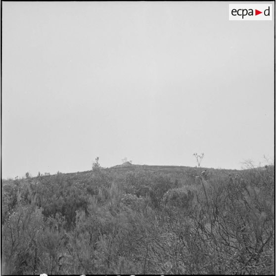 Harka du 2/16e RIC en opération. [Description en cours]