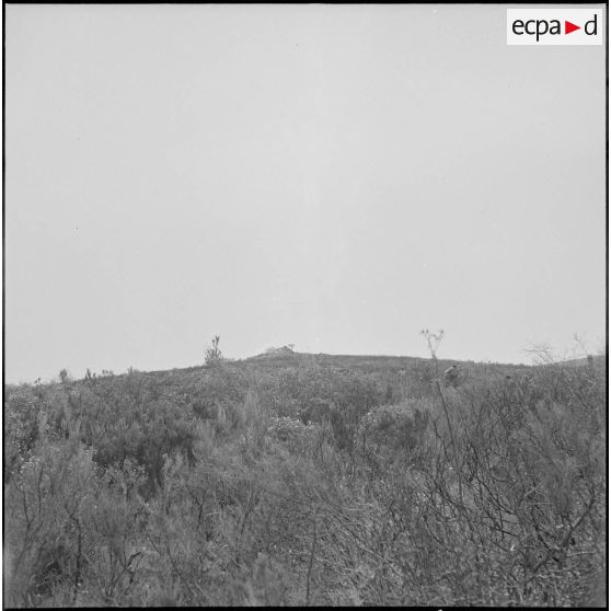 Harka du 2/16e RIC en opération. [Description en cours]