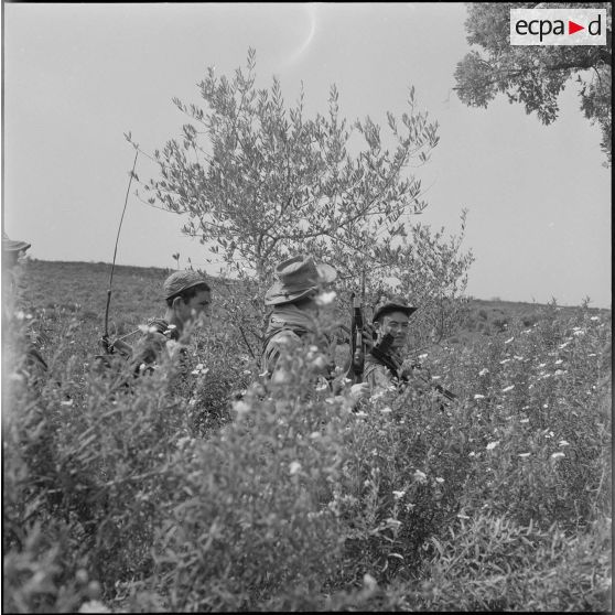 Harka du 2/16e RIC en opération. [Description en cours]