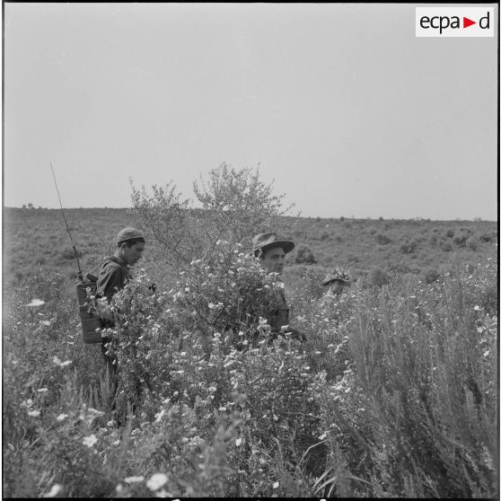 Harka du 2/16e RIC en opération. [Description en cours]