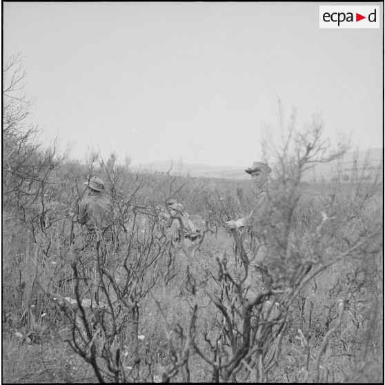 Harka du 2/16e RIC en opération. [Description en cours]