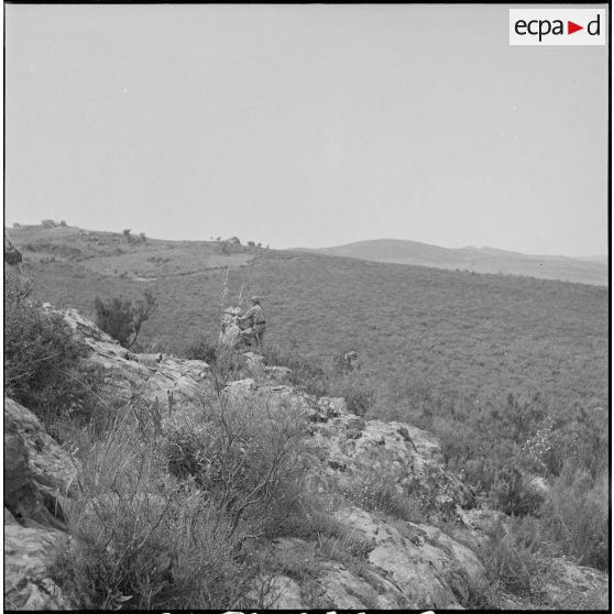 Harka du 2/16e RIC en opération. [Description en cours]
