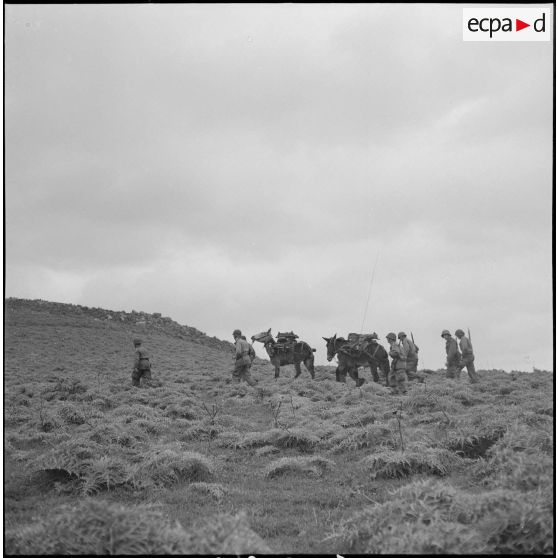 Opération avec le 60e RI. [Description en cours]
