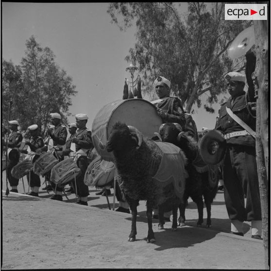 La nouba du 1er régiment de tirailleurs algériens (RTA). [Description en cours]