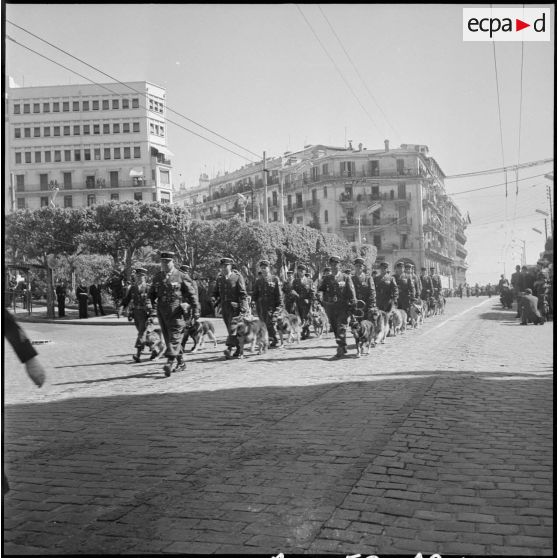 Commémoration du 8 mai 1945 à Alger. [Description en cours]