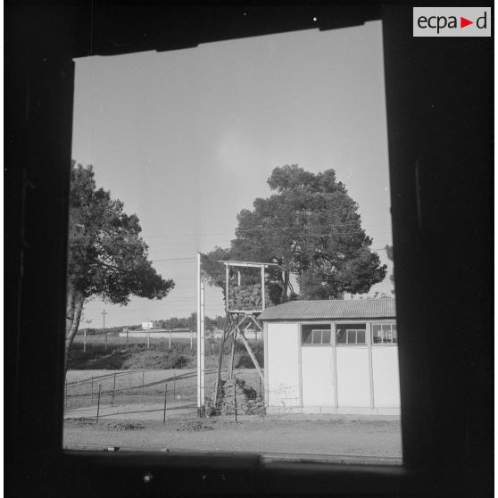 Activité quotidienne de l’Office des Chemins de Fer Algériens (CFA). [Description en cours]