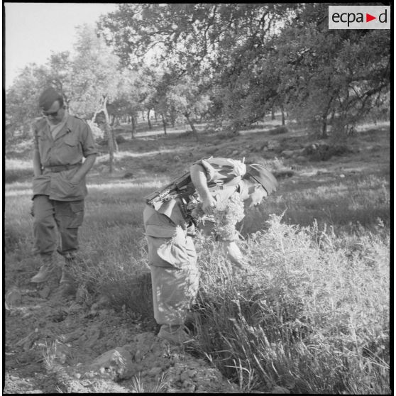 Vie quotidienne militaire dans la région de Constantine. [Description en cours]