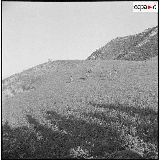 Opération dans la région de Constantine. [Description en cours]