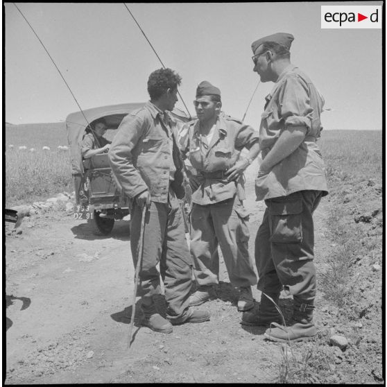 Opération dans la région de Constantine. [Description en cours]