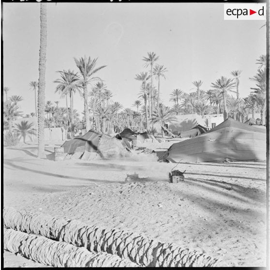 Colomb-Béchar. Des tentes installées dans une oasis.