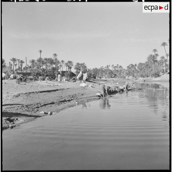 Colomb-Béchar. Des femmes lavent le linge au point d'eau.