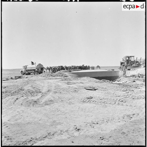 Colomb-Béchar. Des dromadaires se désaltèrent à côté d'un camion-citerne.