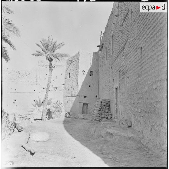 Ouakda. Le ksar et les jardins potagers.