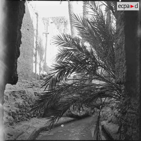 Ouakda. Le ksar et les jardins potagers.