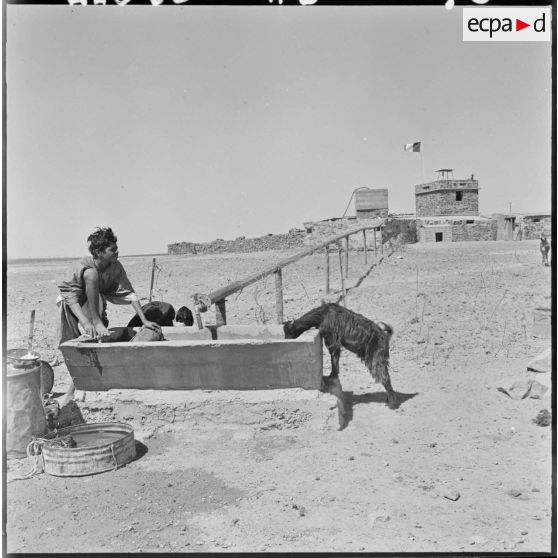Près de Djebilet un peloton de harkis Reguibats de Tindouf est installé dans un poste fixe. Ce poste permet aux nomades de se réaprovisionner en eau.