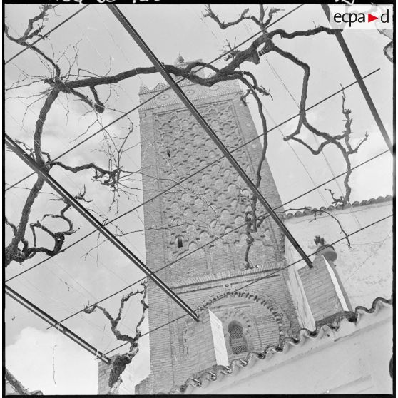 Mosquée de Sidi Bou Medine.