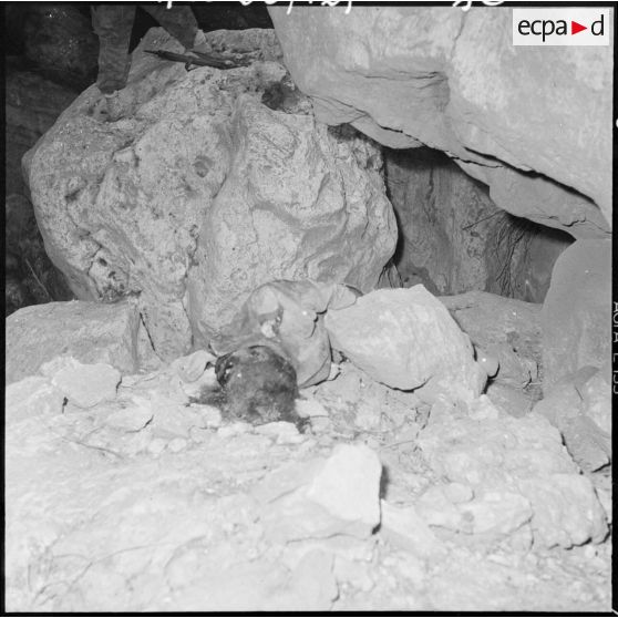 Opération Turquoise. Un cadavre dans la grotte.