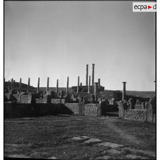 Timgad. Ruines romaines.