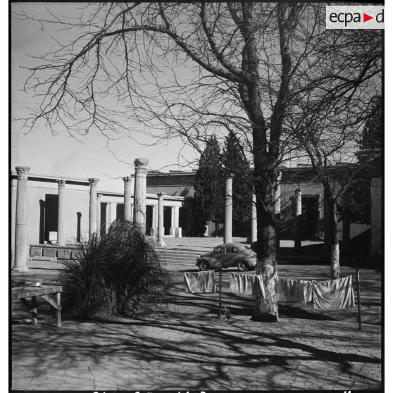 Timgad. Ruines romaines.