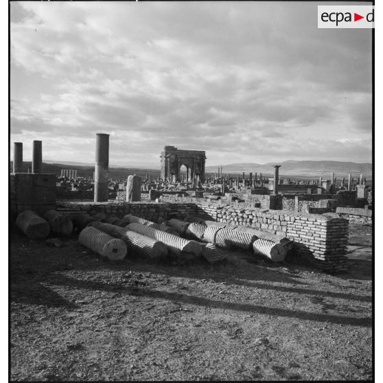 Timgad. Ruines romaines.