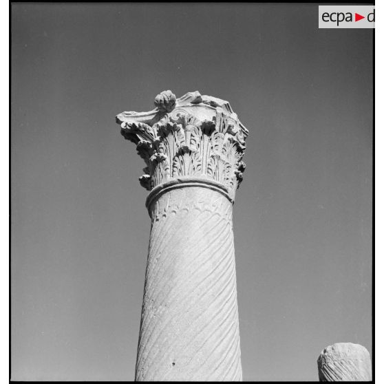 Timgad. Ruines romaines : détail d'une colonne.