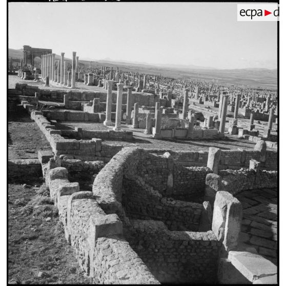 Timgad. Ruines romaines.