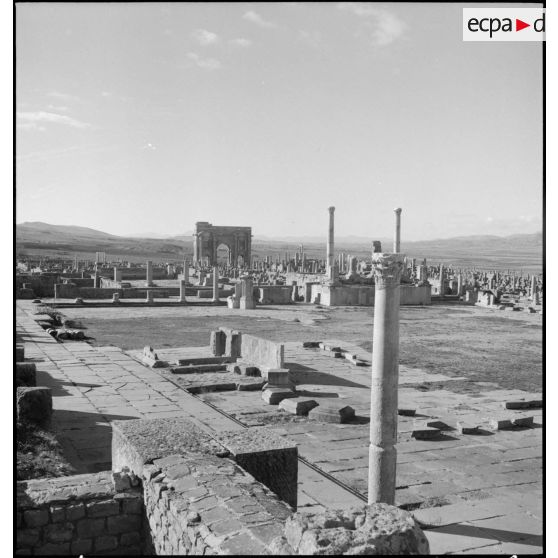 Timgad. Ruines romaines.