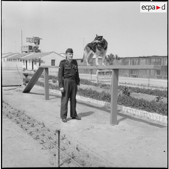 Le chenil de la base aérienne de Reghaia. Un maître-chien avec son chien à l'entraînement.
