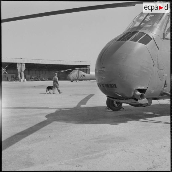 Le chenil de la base aérienne de Reghaia.