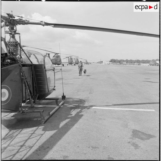 Le chenil de la base aérienne de Reghaia.