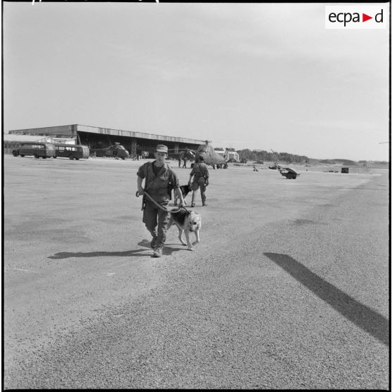 Le chenil de la base aérienne de Reghaia. Un maître-chien avec son chien.
