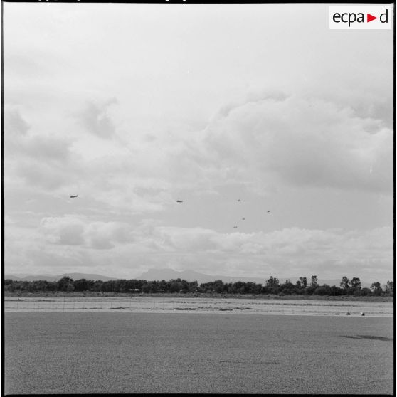 Les hélicoptères survolent le chenil de la base aérienne de Reghaia.