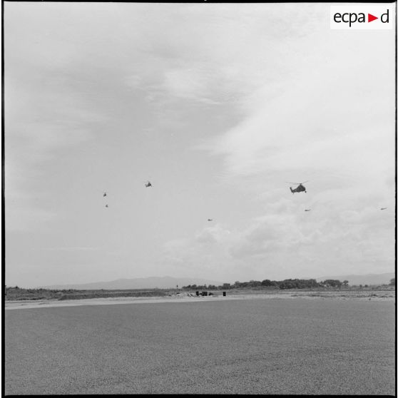 Les hélicoptères survolent le chenil de la base aérienne de Reghaia.