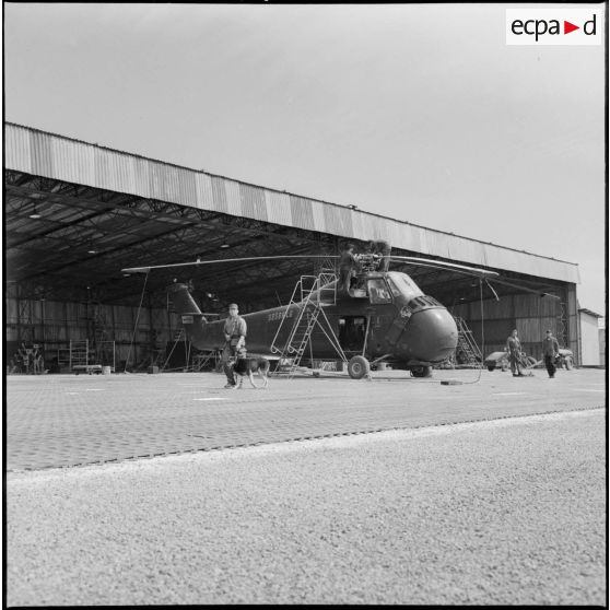 Le chenil de la base aérienne de Reghaia. Un maître-chien avec son chien.