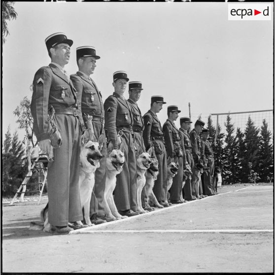 Chenil à la gendarmerie de Beni Messous. Peloton cynophile.