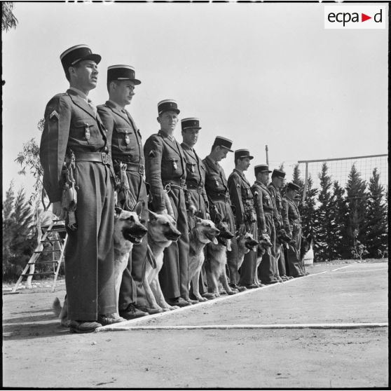Chenil à la gendarmerie de Beni Messous. Peloton cynophile.