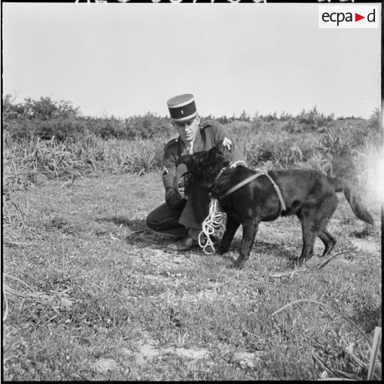 Chenil à la gendarmerie de Beni Messous. Entraînement des chiens.