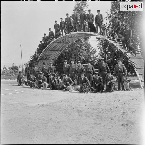 Chenil à la gendarmerie de Beni Messous. Peloton cynophile.