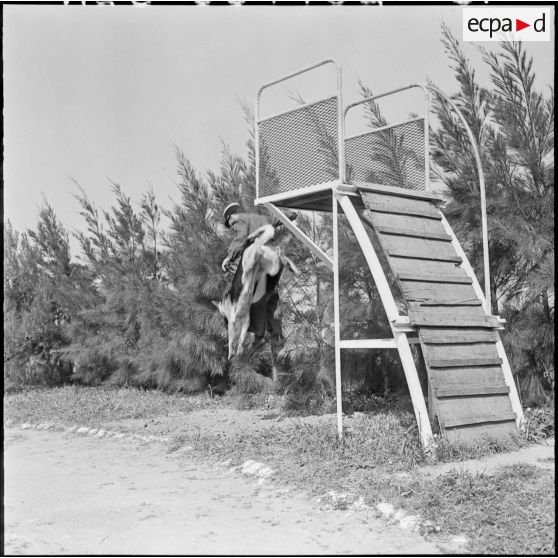 Chenil à la gendarmerie de Beni Messous. Entraînement des chiens.